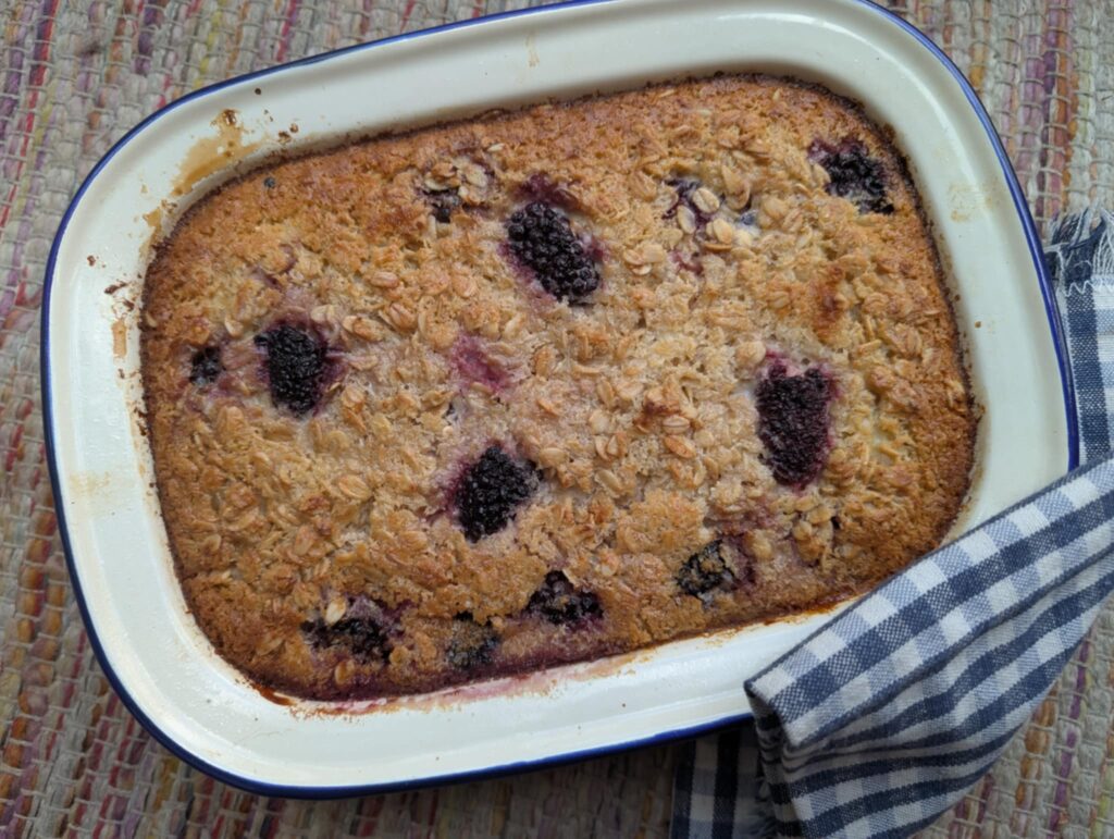 photo of a white ovenproof tin filled with cooked oats and berries