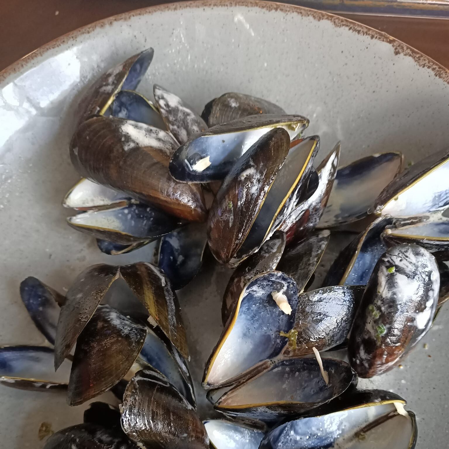 a plate of empty mussel shells